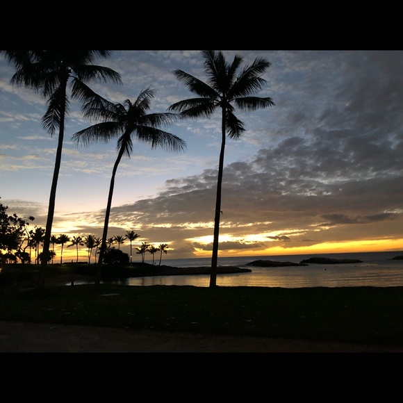 Meet your Posher, Suni - Picture 1 of 1